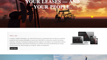 Web Development for Petro company